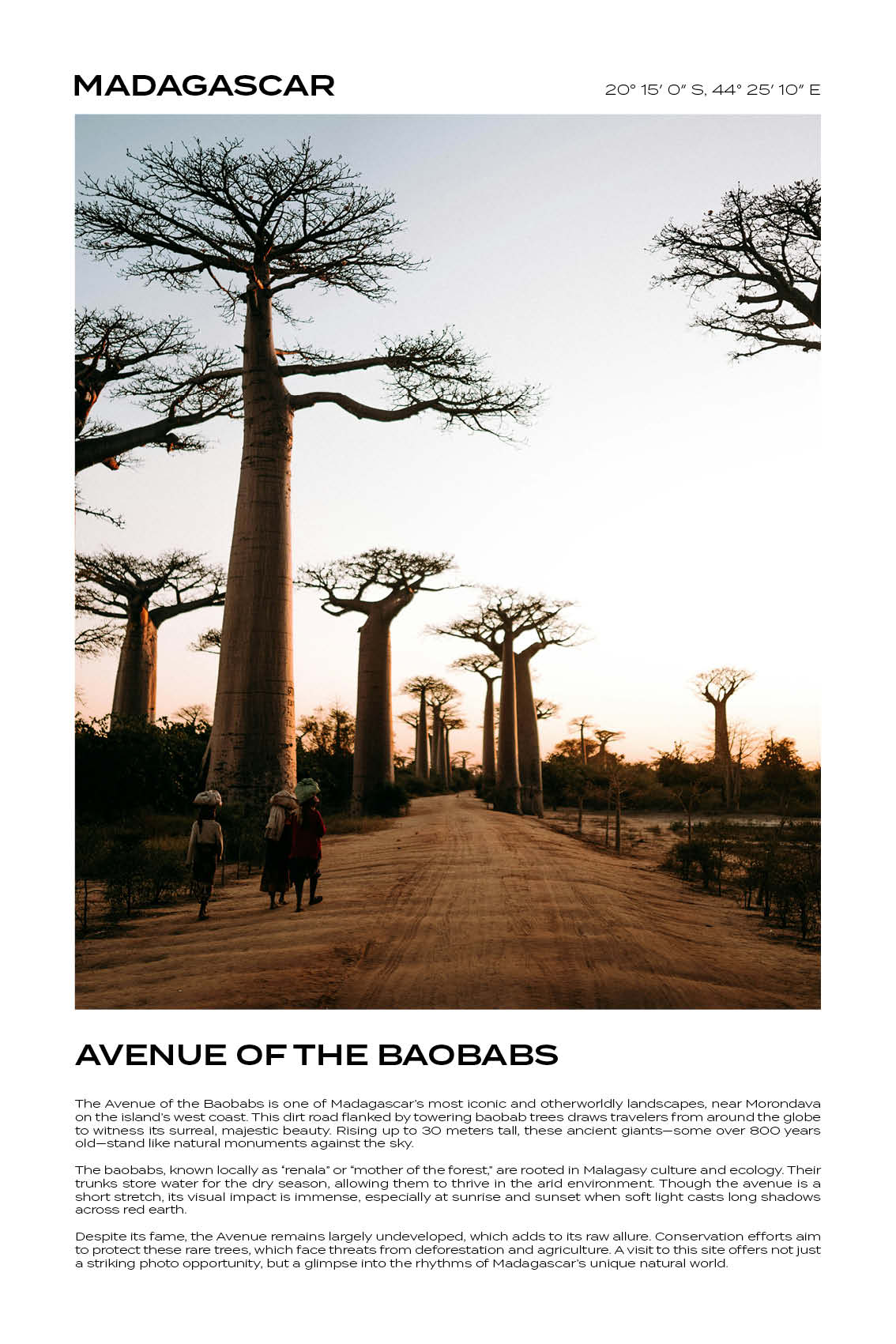 Madagascar - Avenue of the Baobabs I
