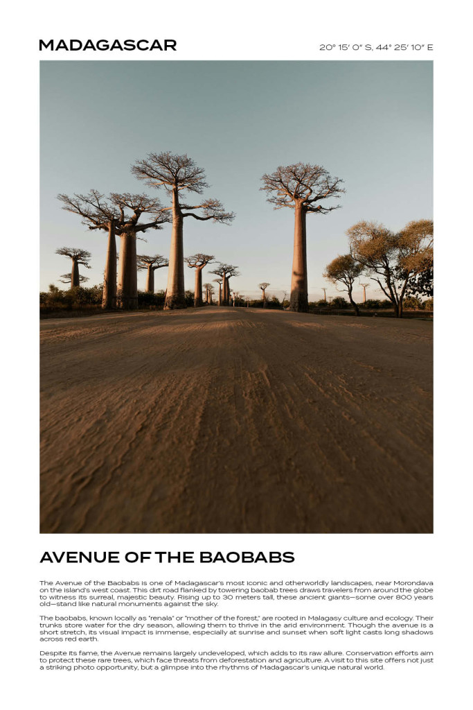 MADAGASCAR---AVENUE-OF-THE-BAOBABS_2.jpg