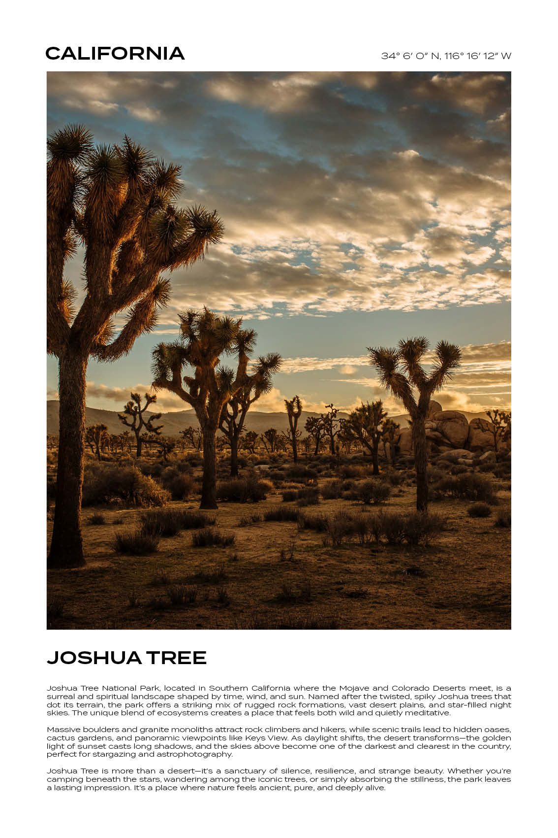 California - Joshua Tree II