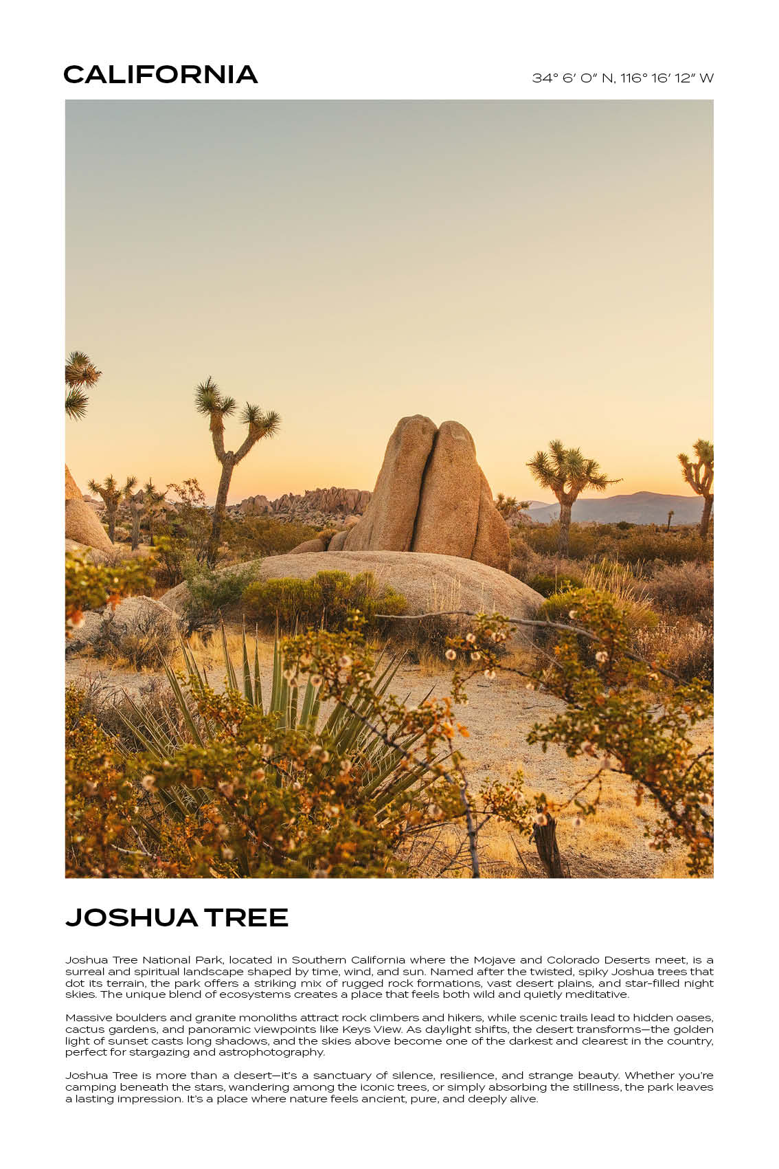 California - Joshua Tree III