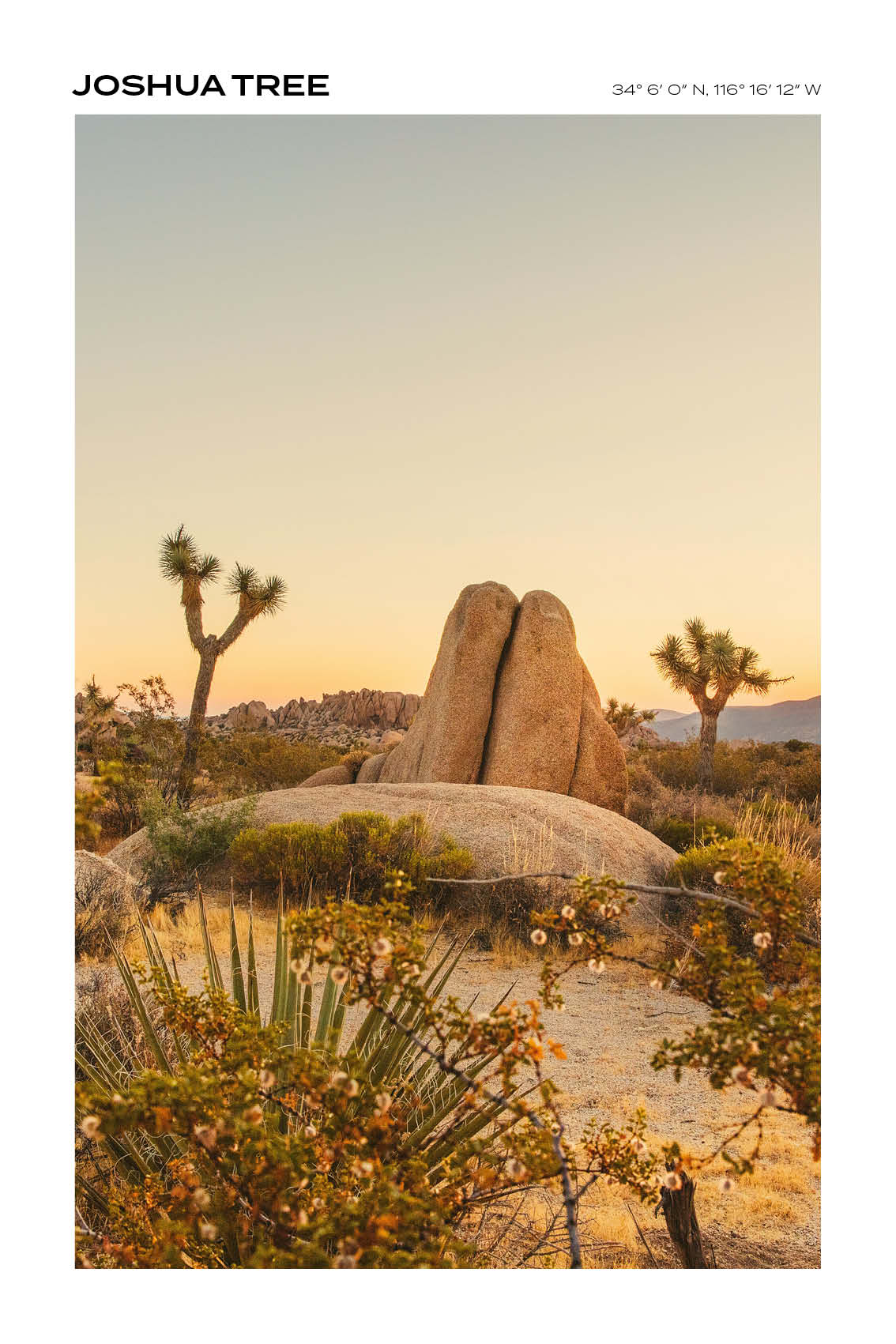 California - Joshua Tree III - Full