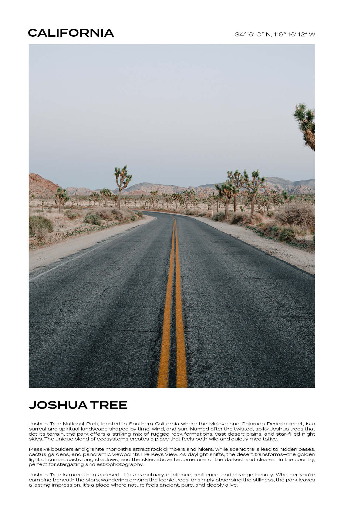 California - Joshua Tree IV