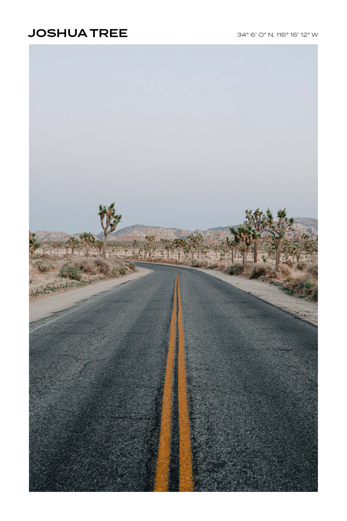 California - Joshua Tree IV - Full