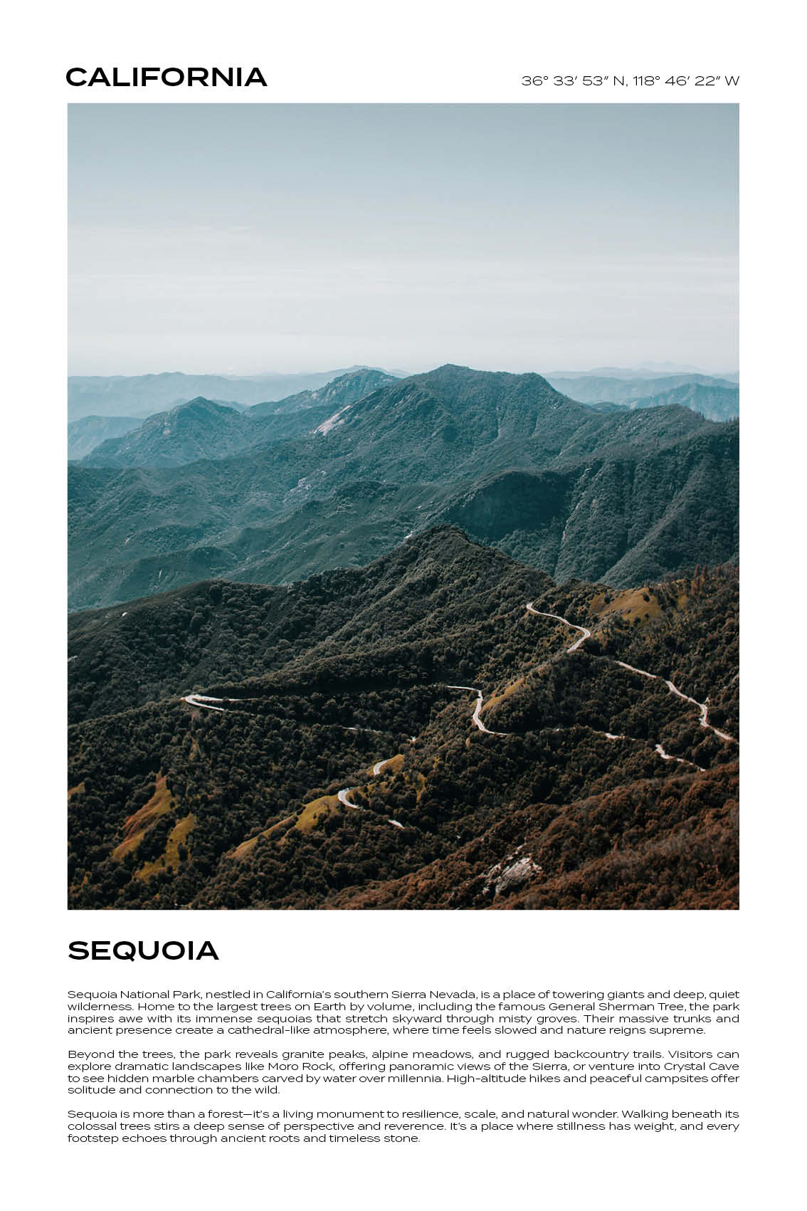California - Sequoia National Park I