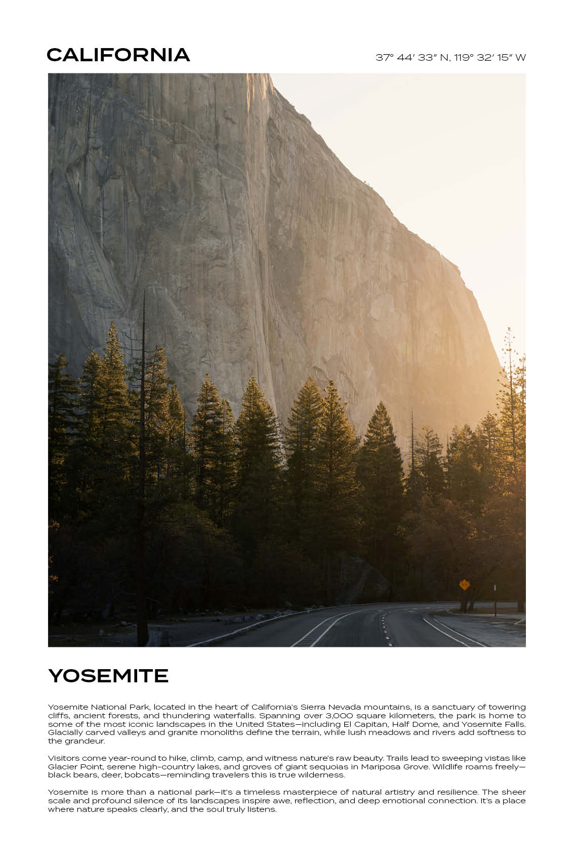 California – Yosemite IV