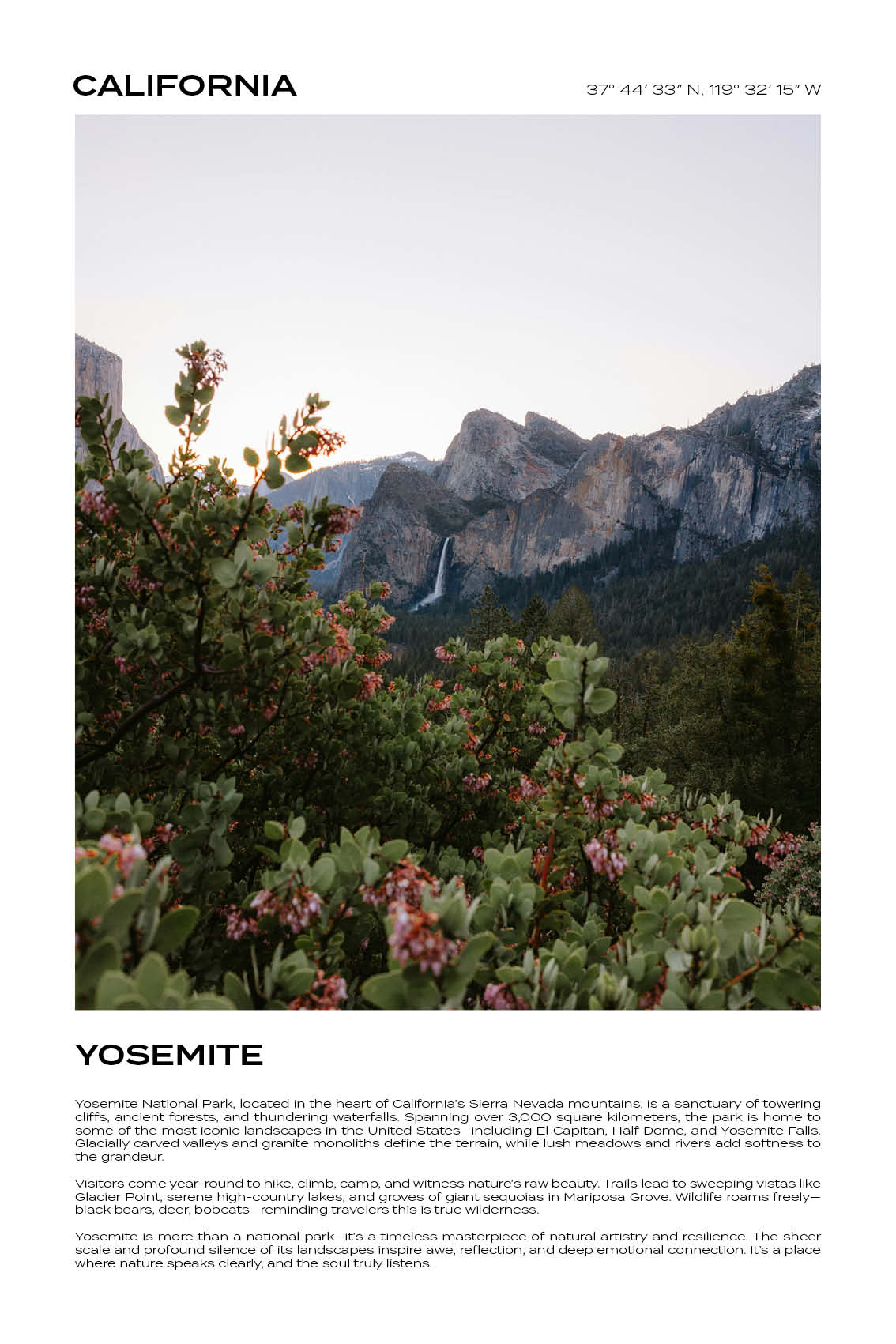 California – Yosemite V