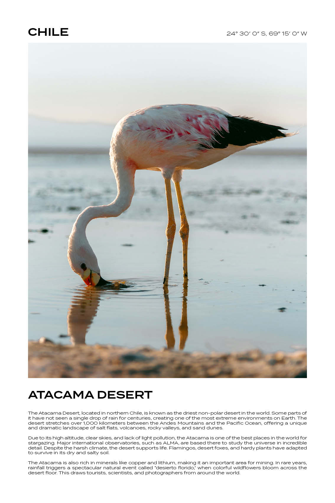 Chile - Atacama Desert V
