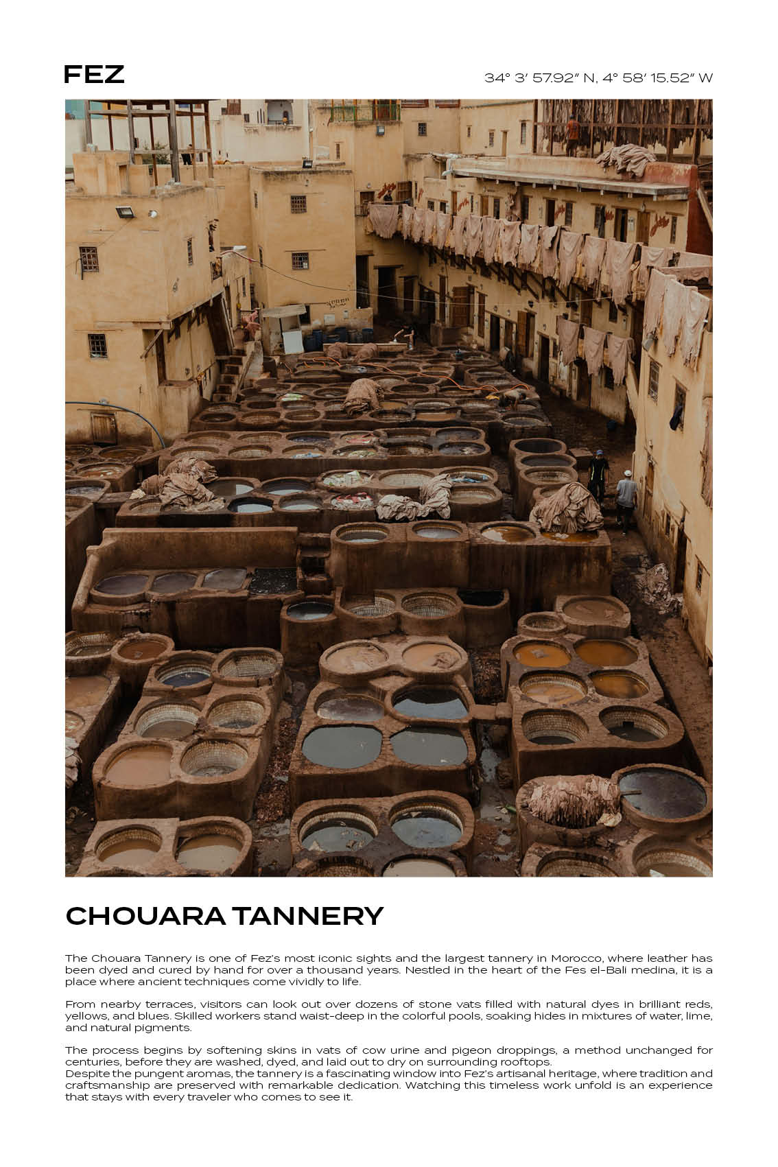 Fez - Chouara Tannery I