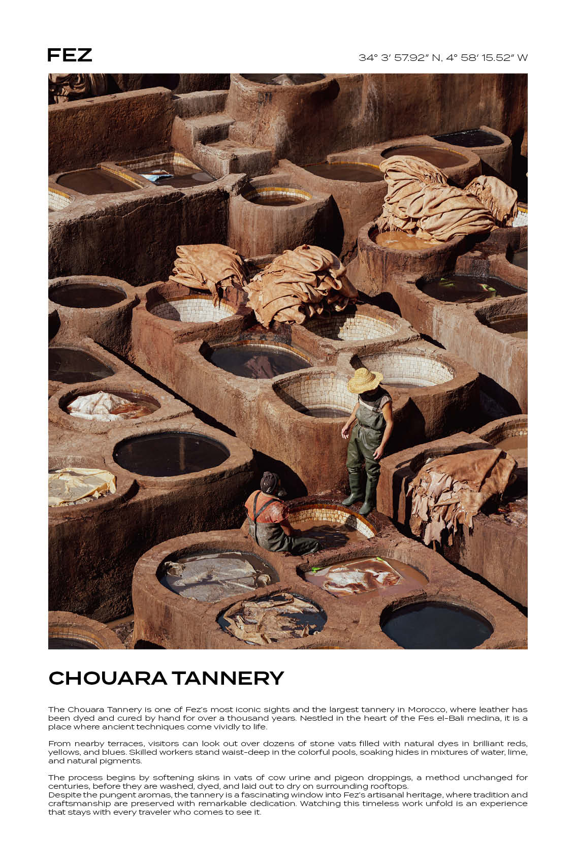Fez - Chouara Tannery II