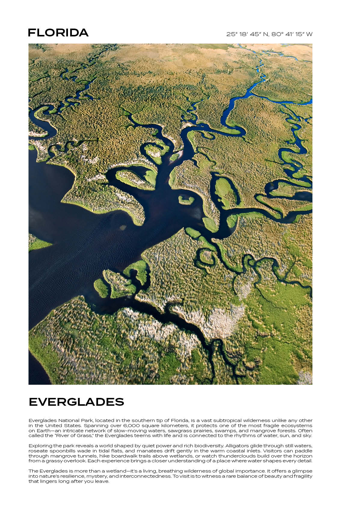 Florida - Everglades I