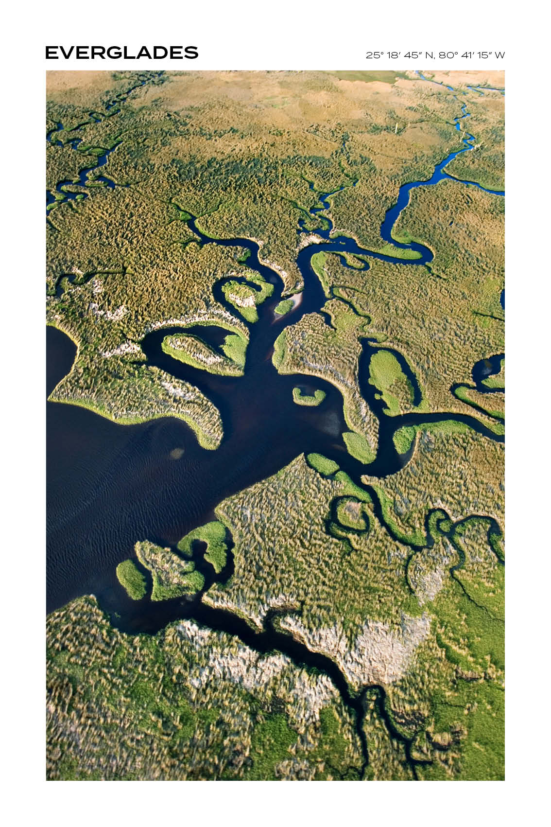 Florida - Everglades I - Full