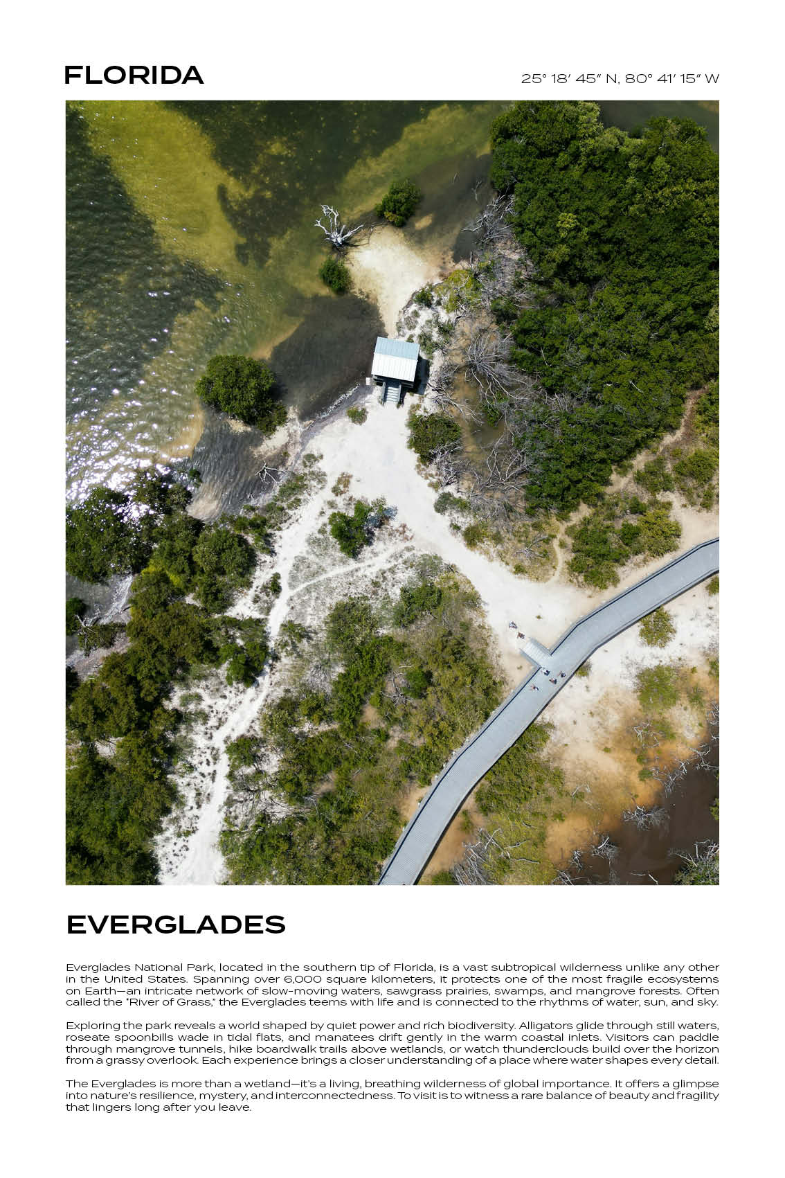 Florida - Everglades II
