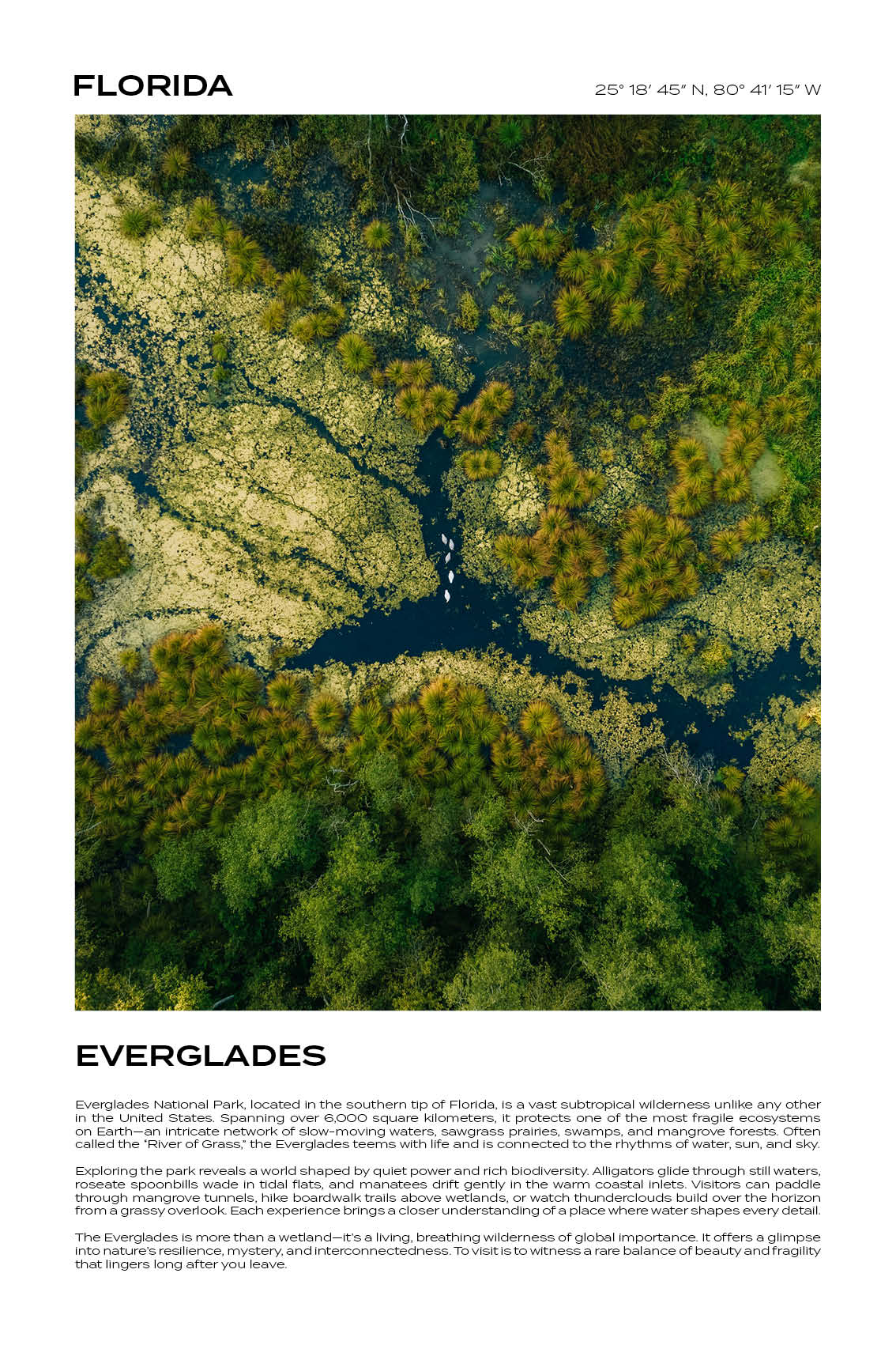 Florida - Everglades III