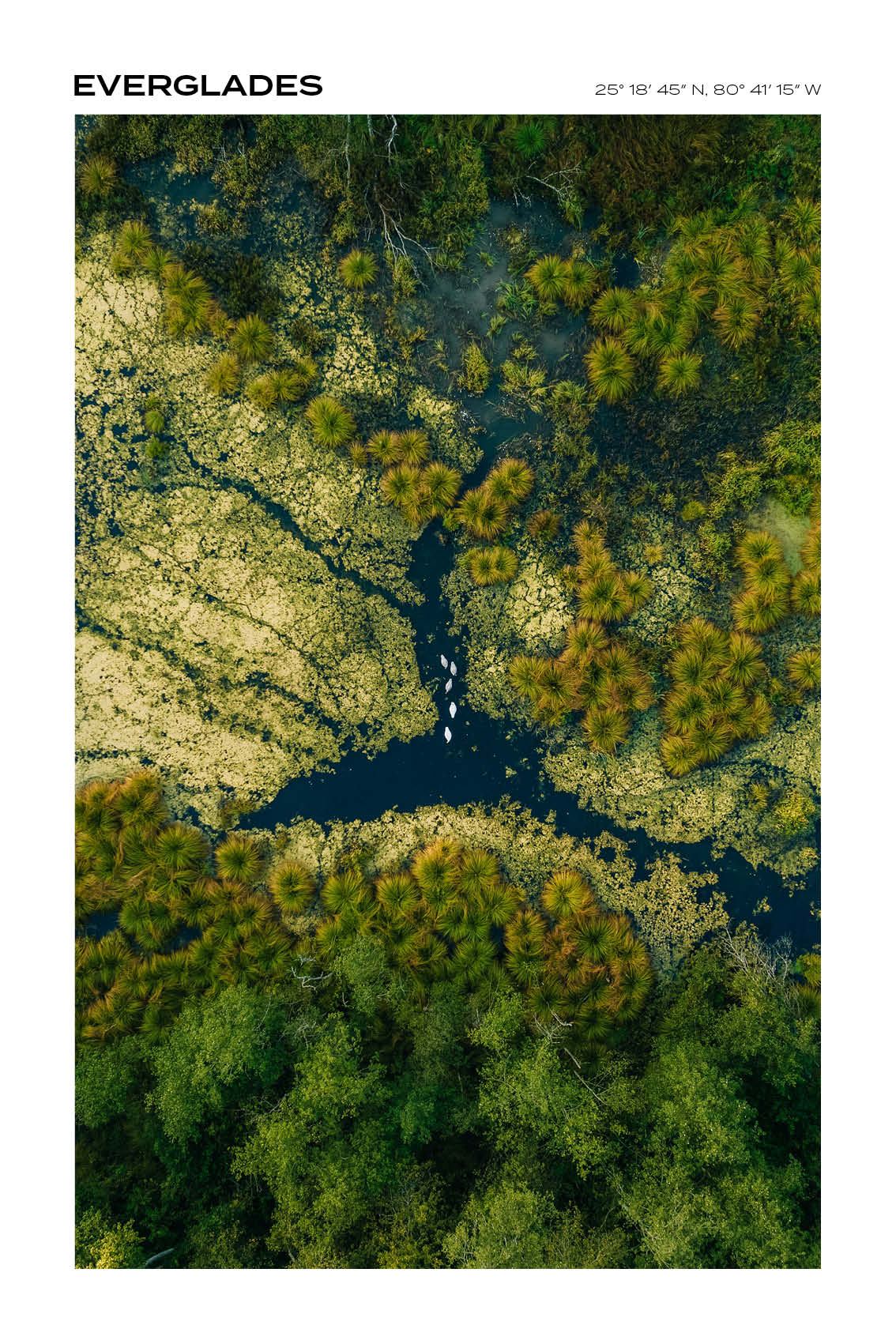 Florida - Everglades III - Full