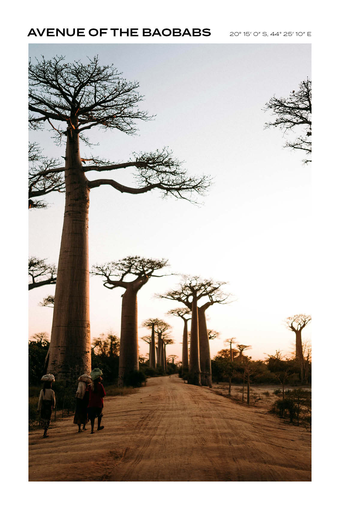 Madagascar - Avenue of the Baobabs I - Full