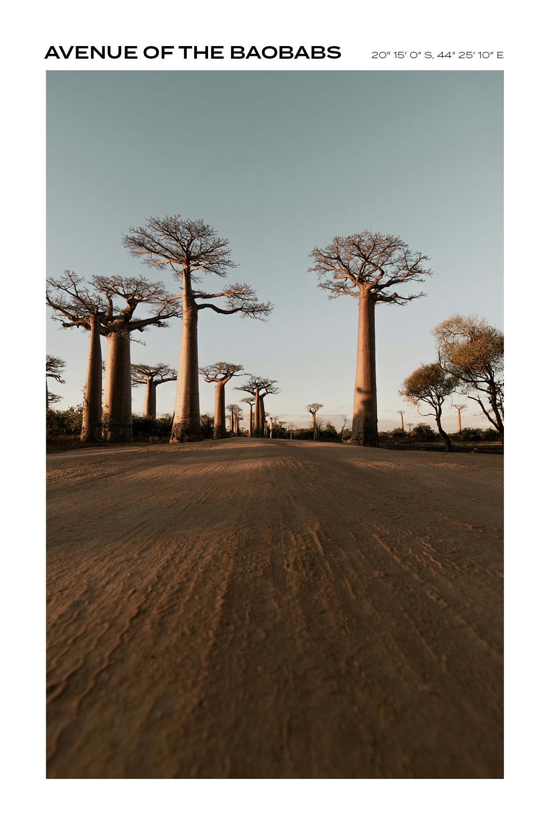 Madagascar - Avenue of the Baobabs II - Full