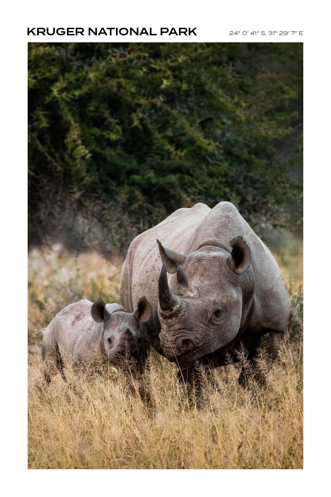 South Afrika - Kruger National Park I - Full