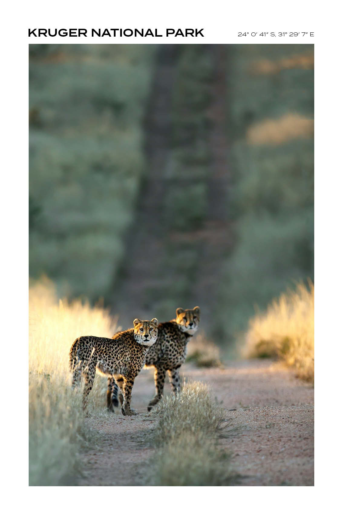 South Afrika - Kruger National Park II - Full