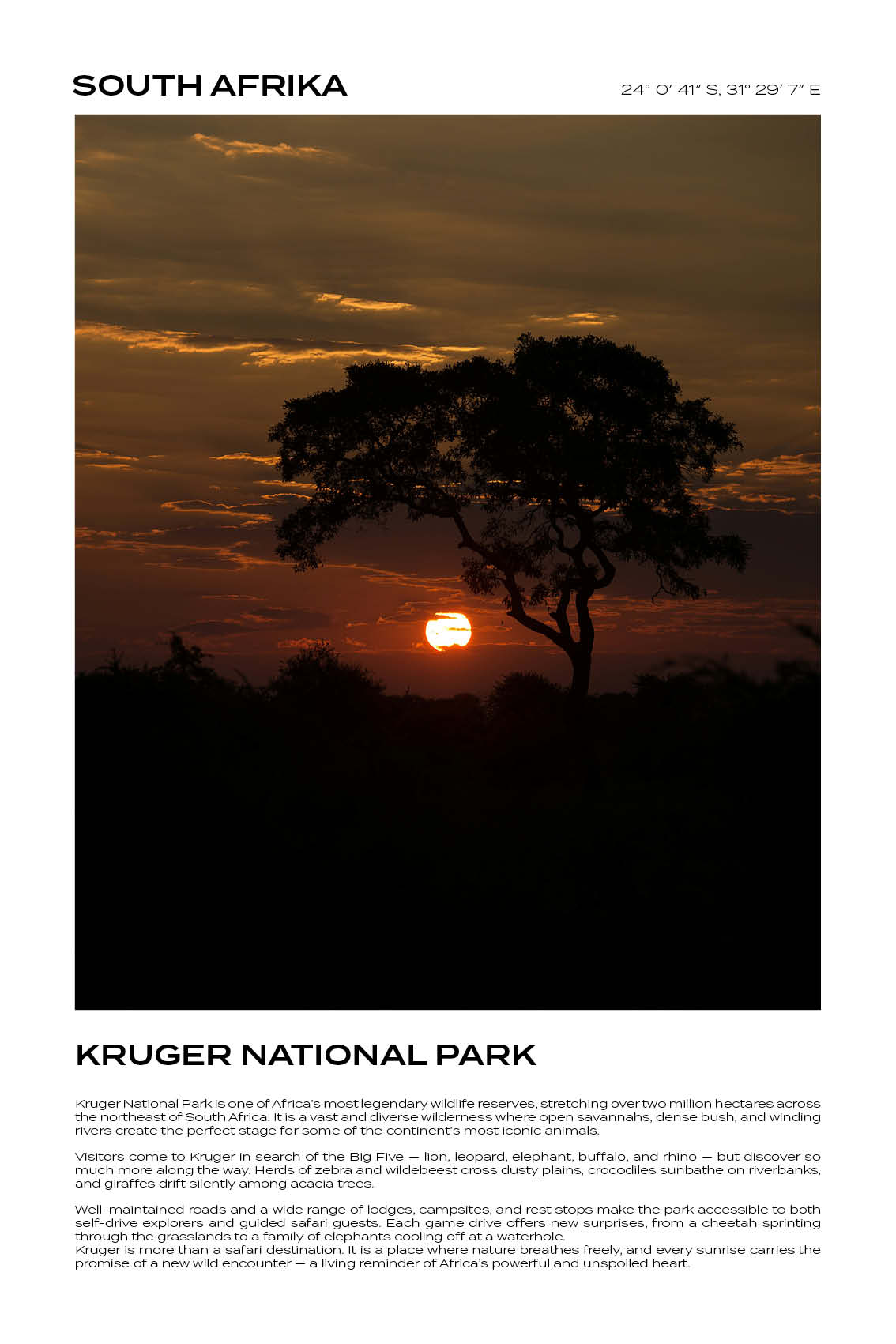 South Afrika - Kruger National Park III