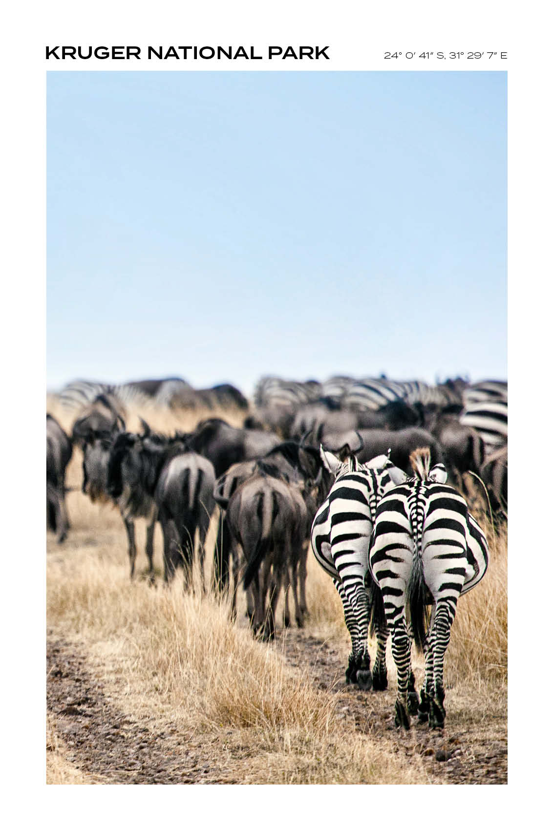 South Afrika - Kruger National Park IV - Full