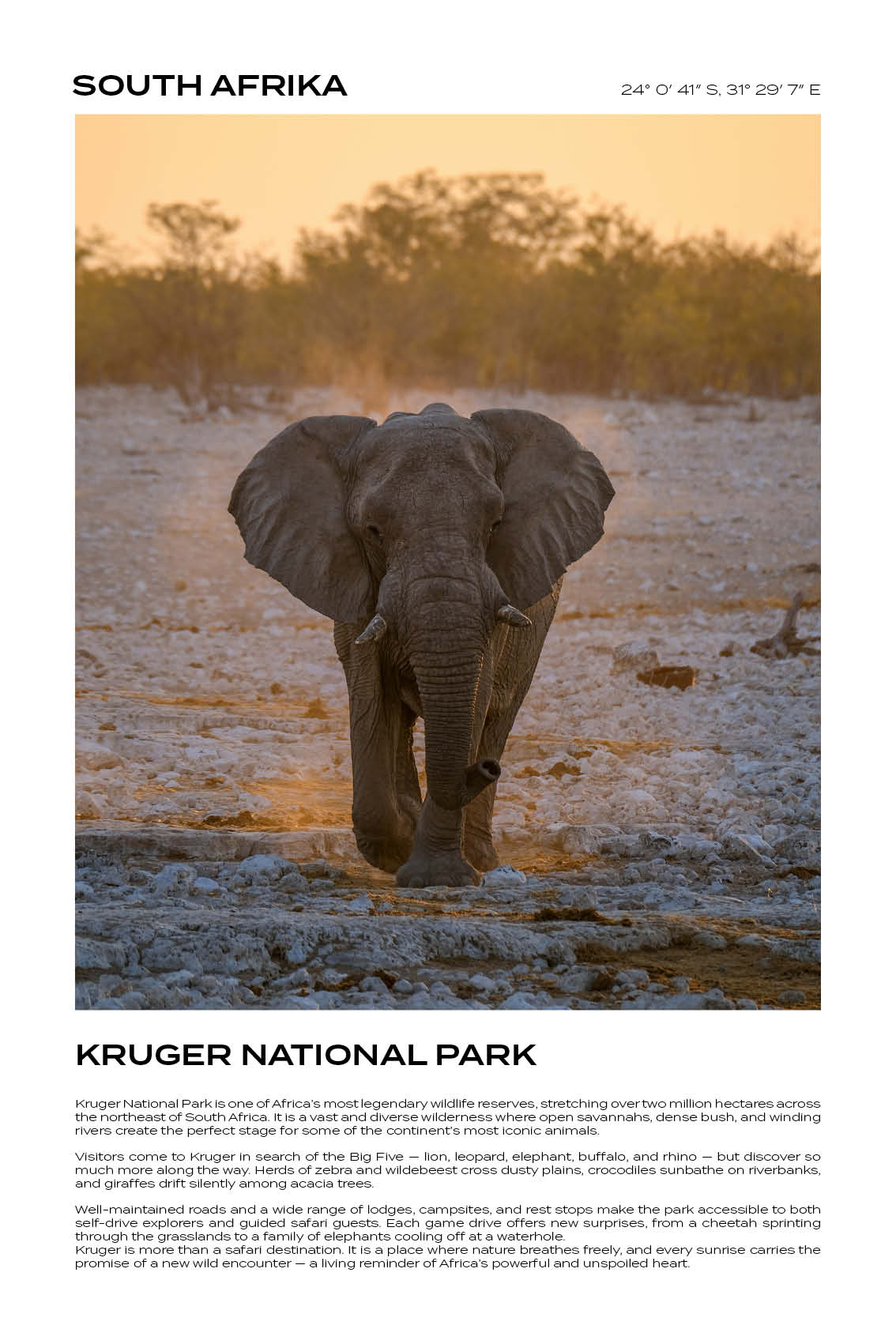 South Afrika - Kruger National Park V