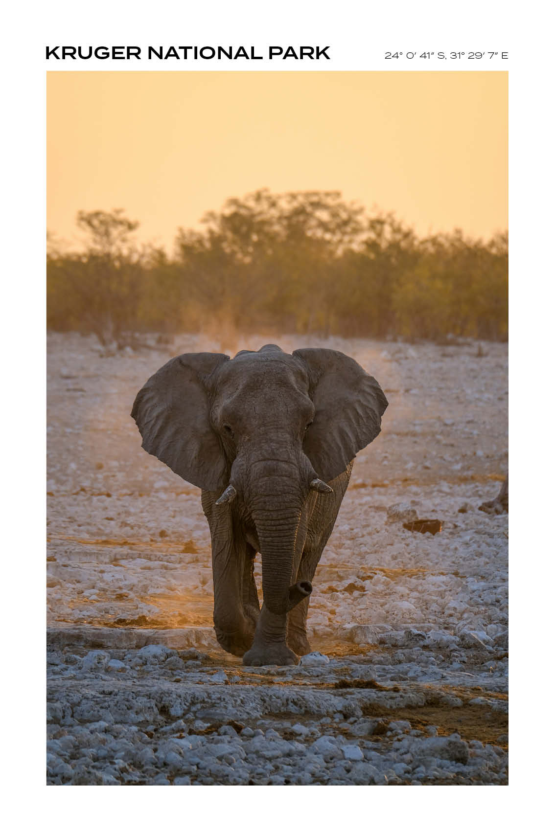 South Afrika - Kruger National Park V - Full