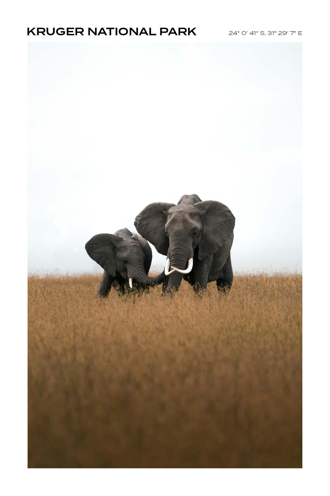 South Afrika - Kruger National Park VI - Full