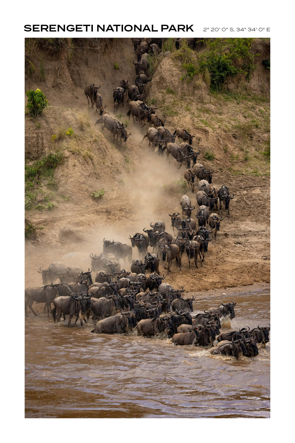 Tanzania - Serengeti National Park I - Full