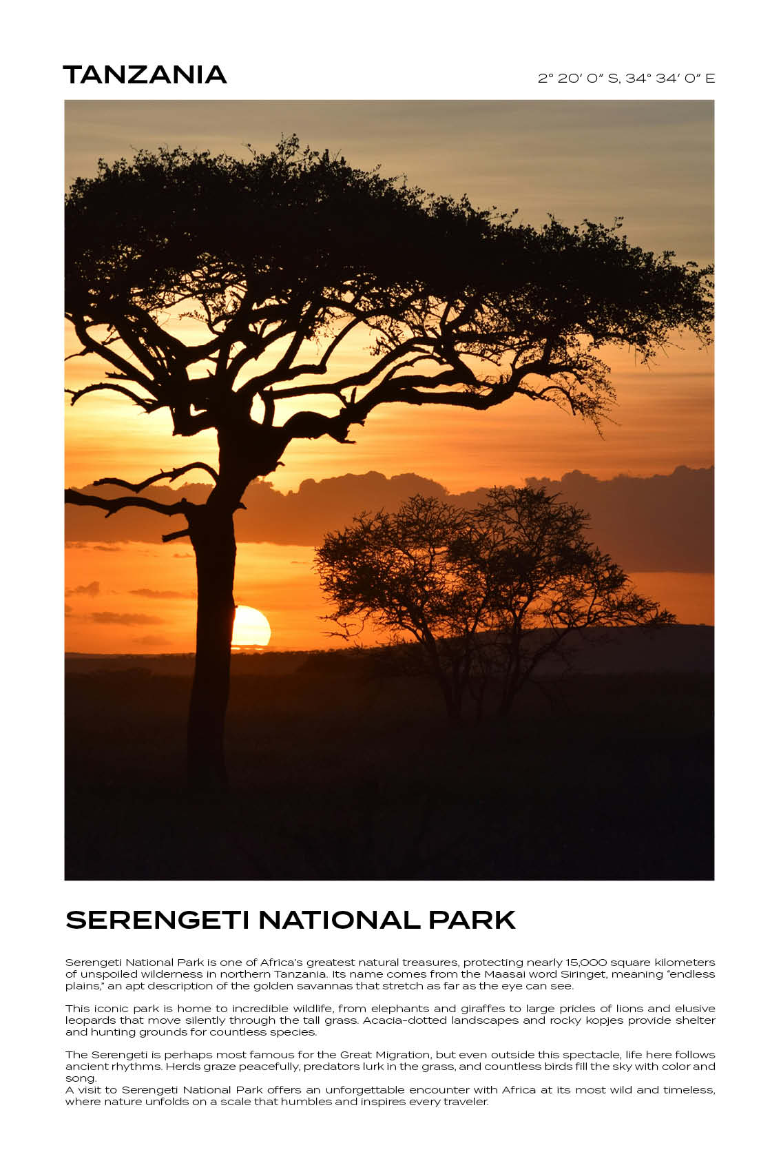Tanzania - Serengeti National Park II
