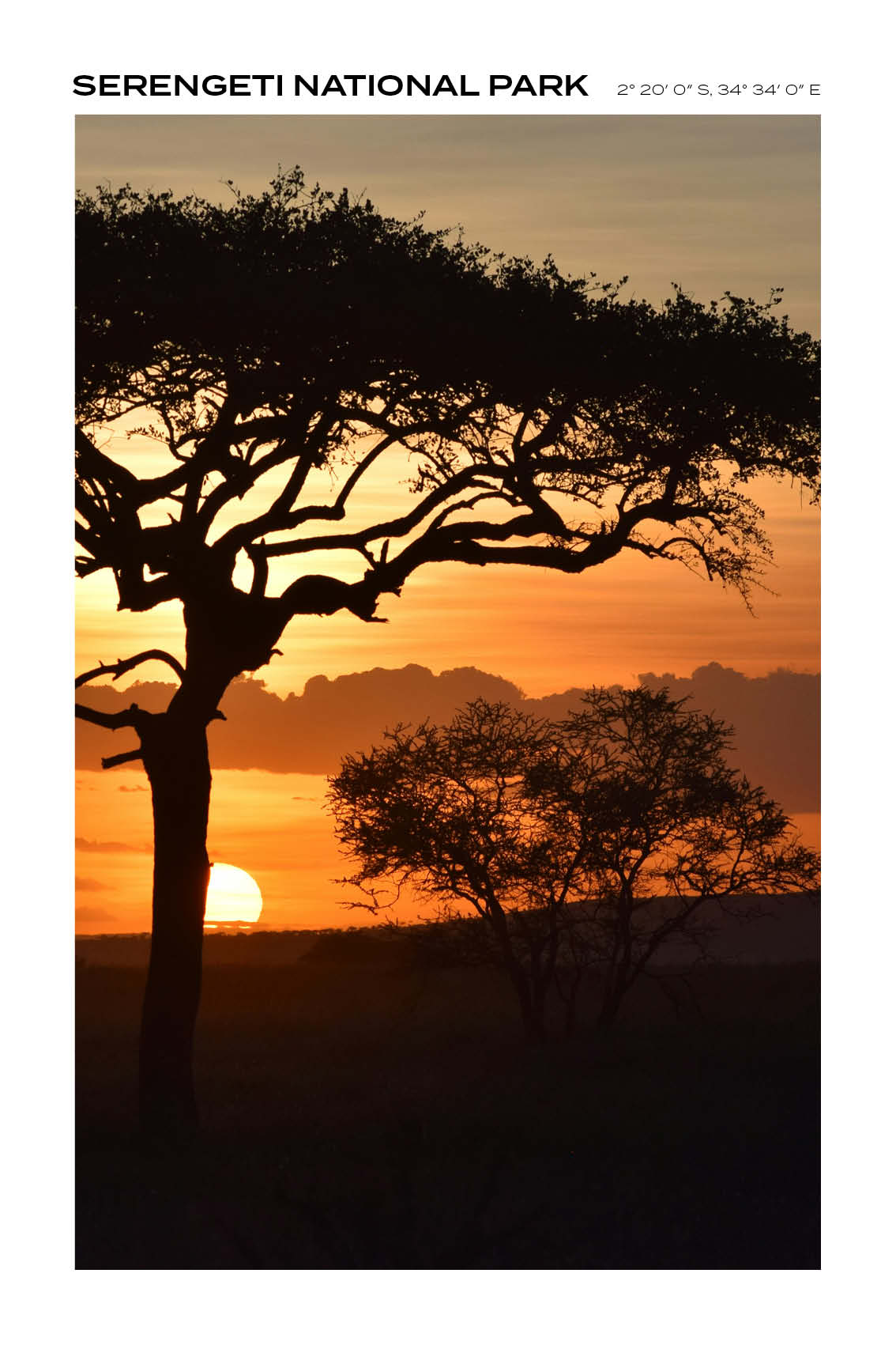 Tanzania - Serengeti National Park II - Full
