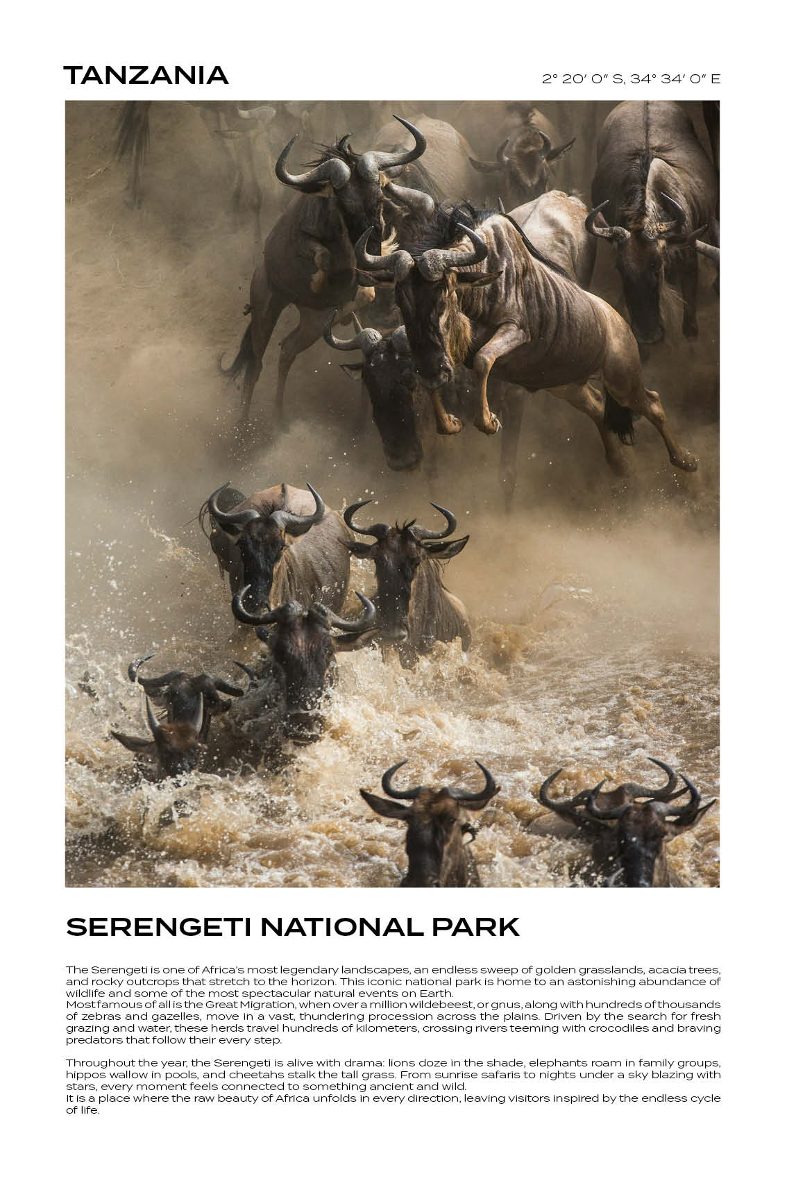 Tanzania - Serengeti National Park III