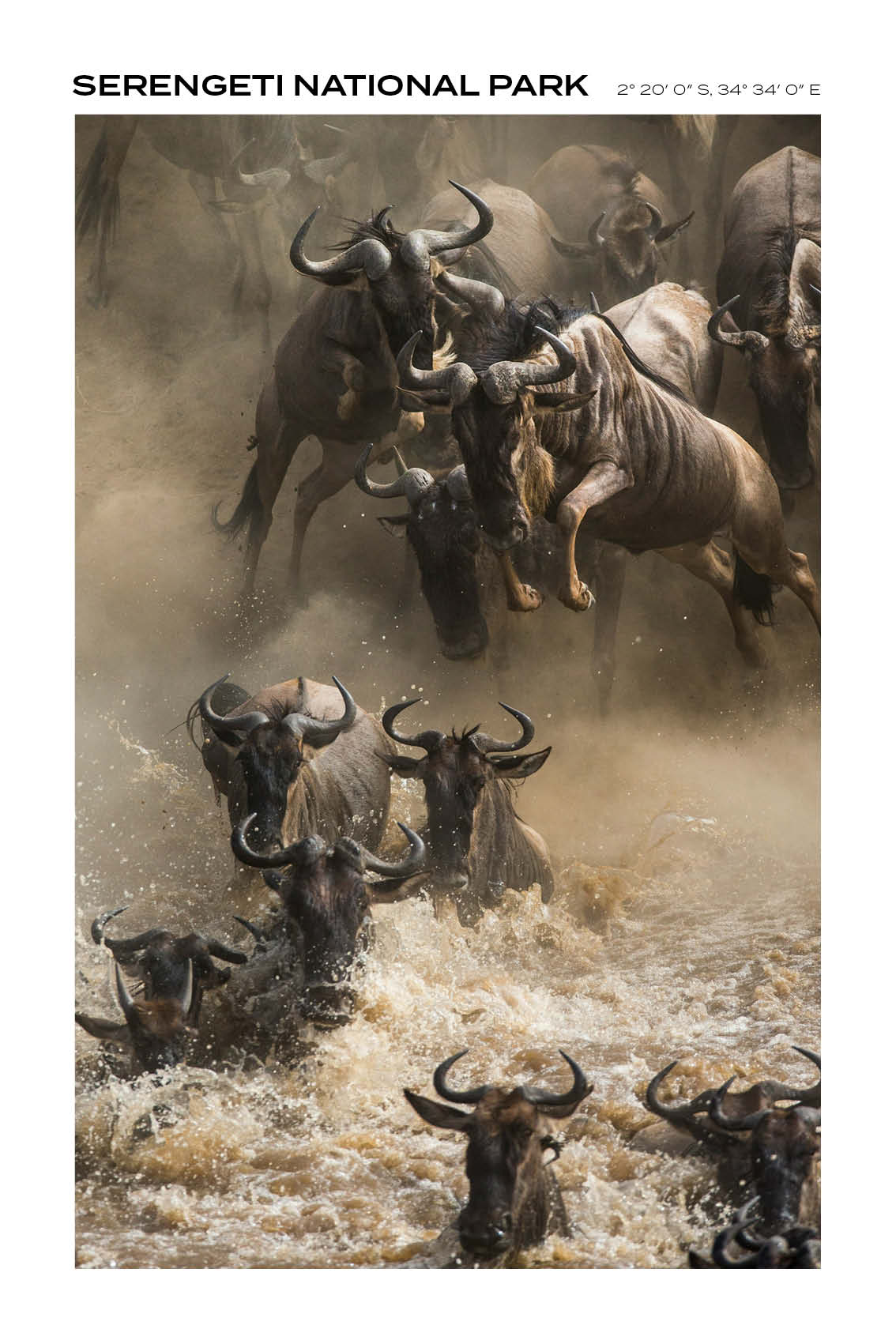 Tanzania - Serengeti National Park III - Full