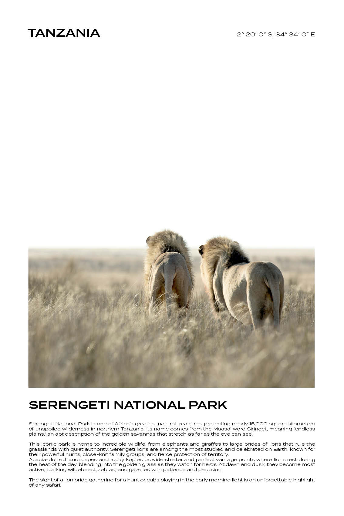 Tanzania - Serengeti National Park IV