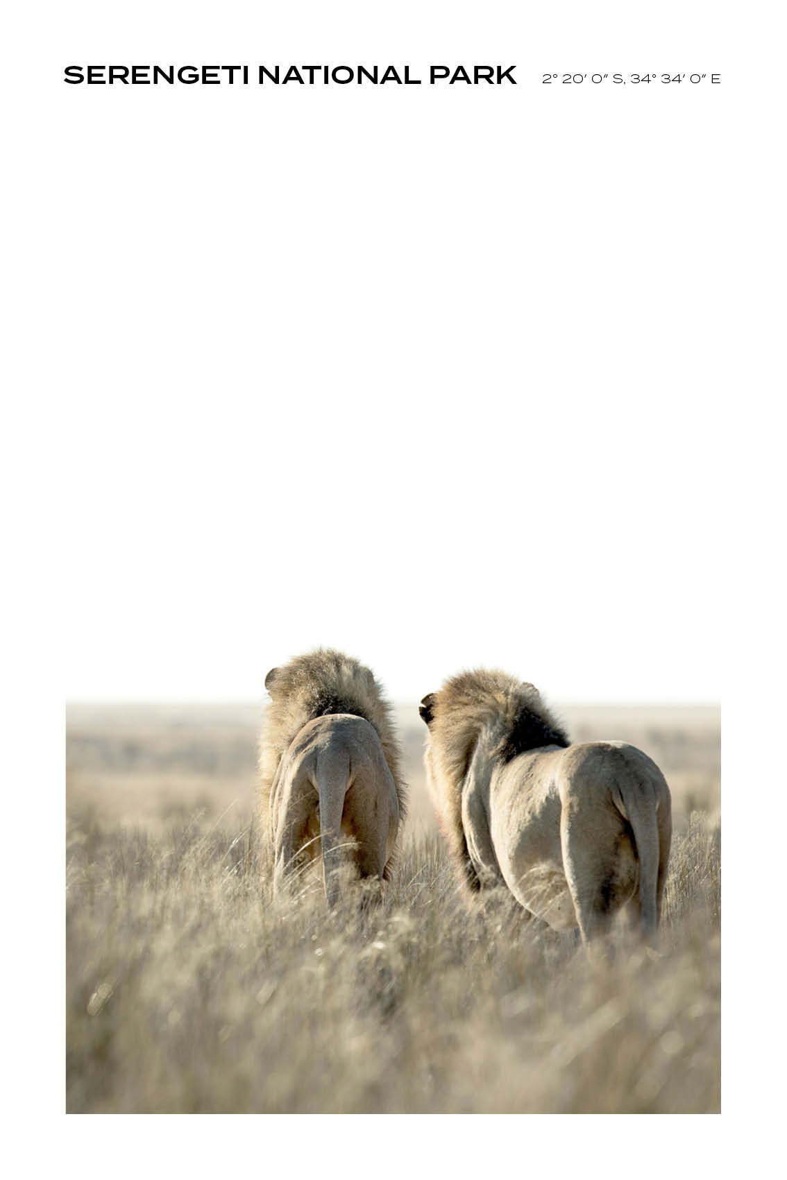 Tanzania - Serengeti National Park IV - Full
