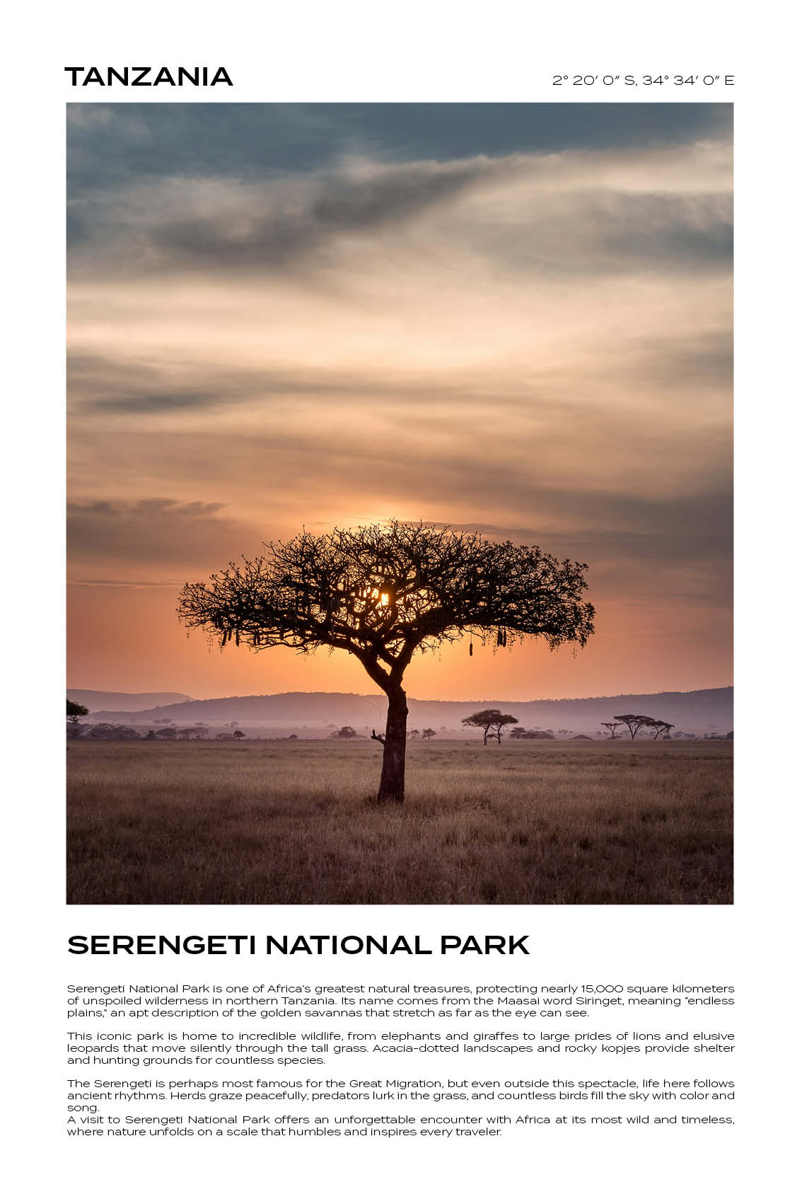 Tanzania - Serengeti National Park V