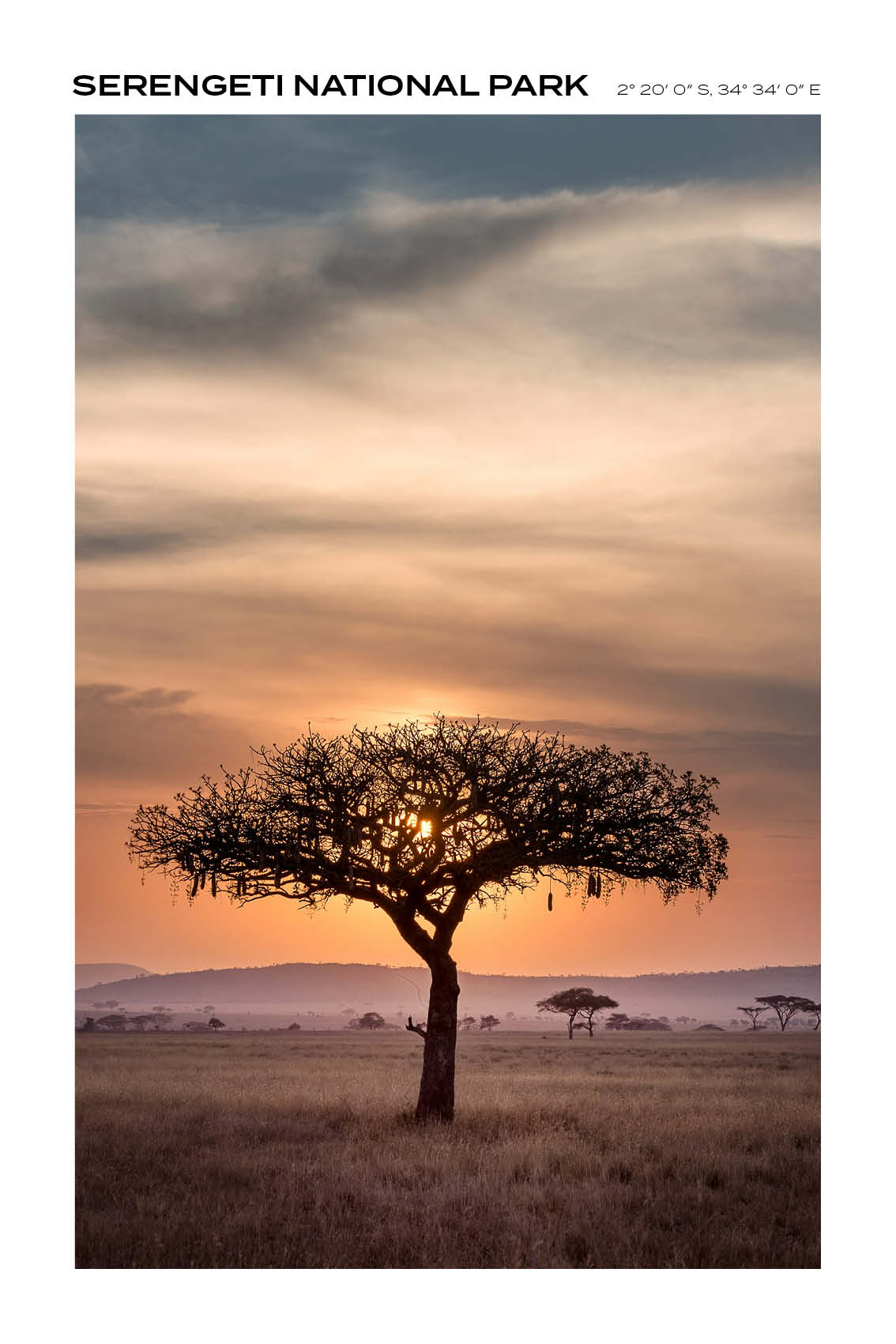 Tanzania - Serengeti National Park V - Full