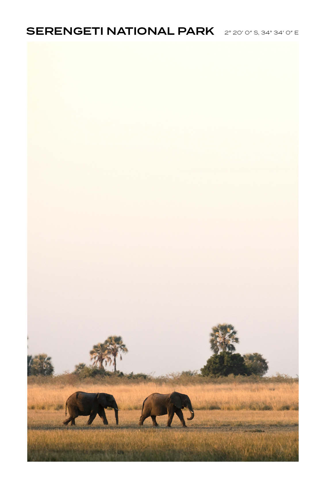 Tanzania - Serengeti National Park VI - Full
