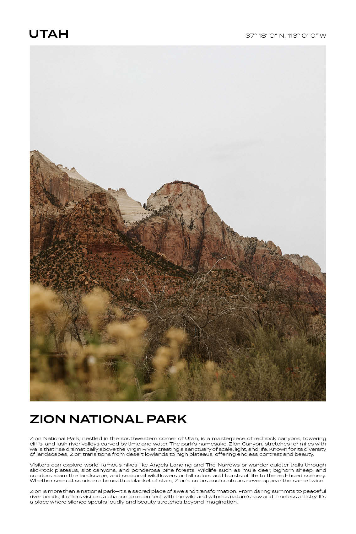 Utah - Zion National Park III