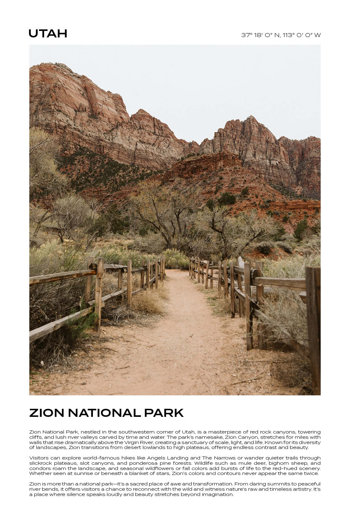 Utah - Zion National Park IV