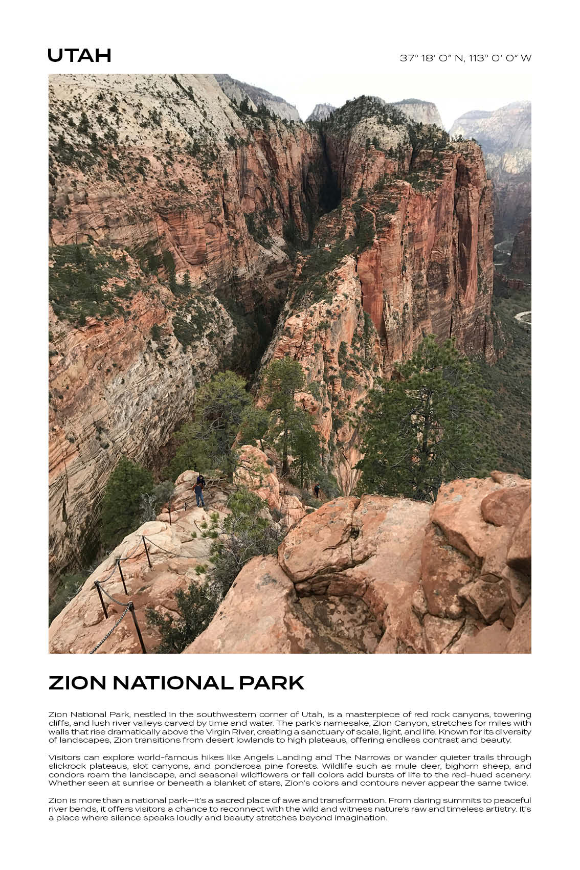 Utah - Zion National Park V