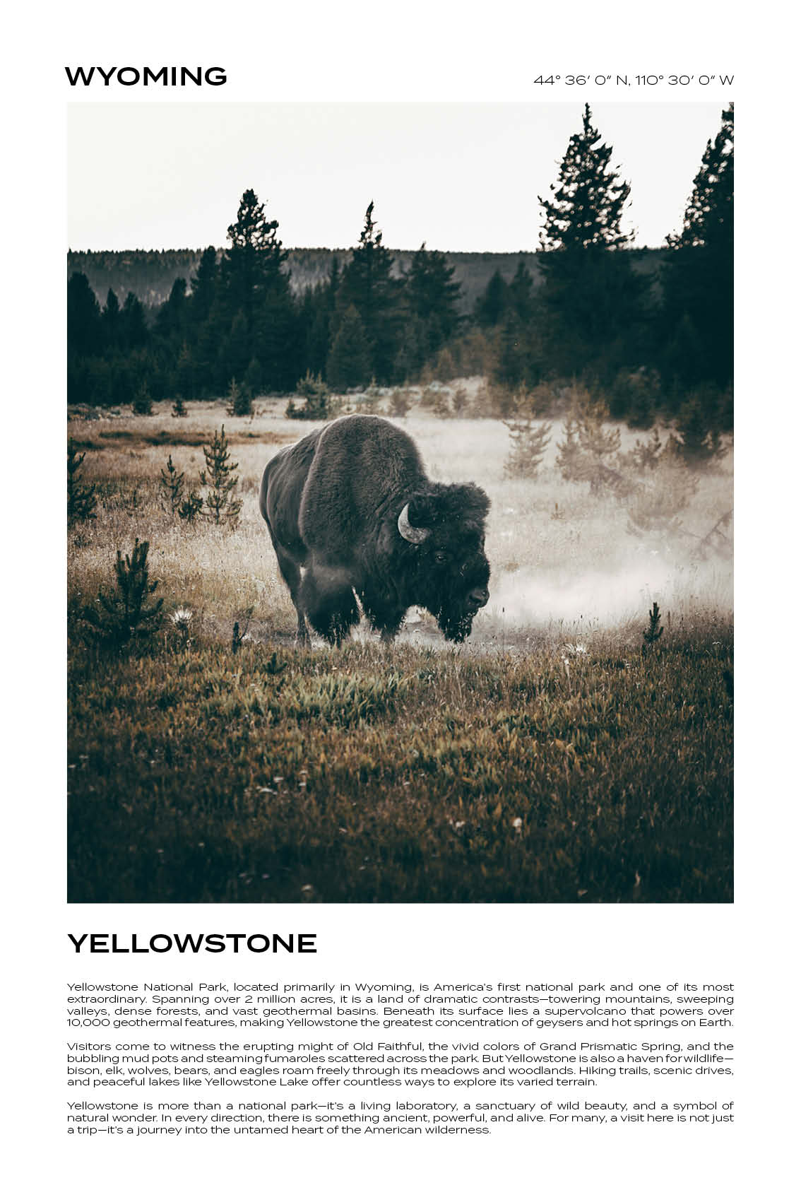 Wyoming - Yellowstone II