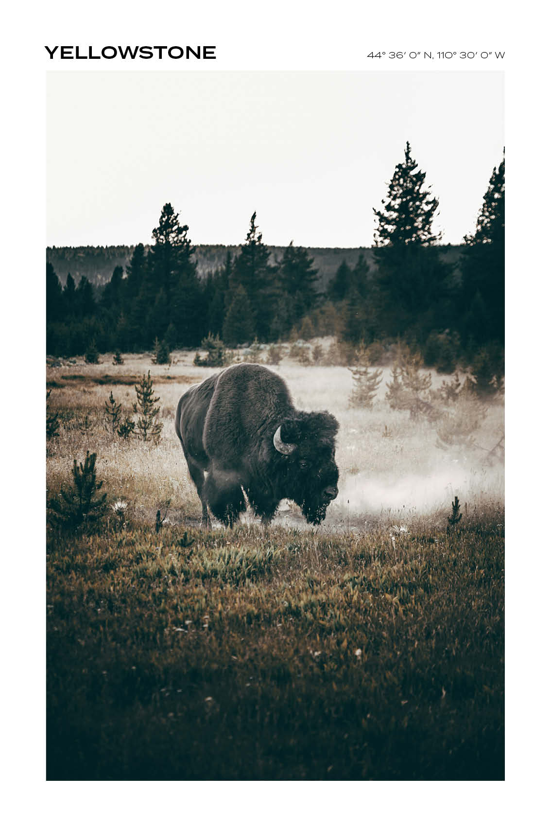 Wyoming - Yellowstone II - Full