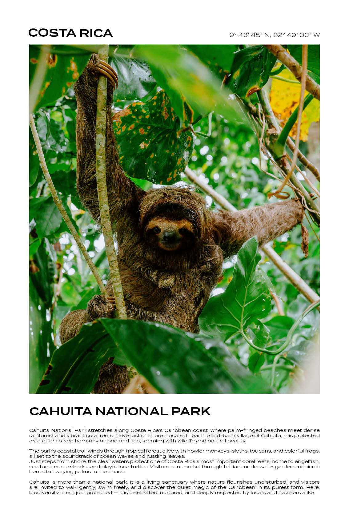 Costa Rica - Cahuita National Park II