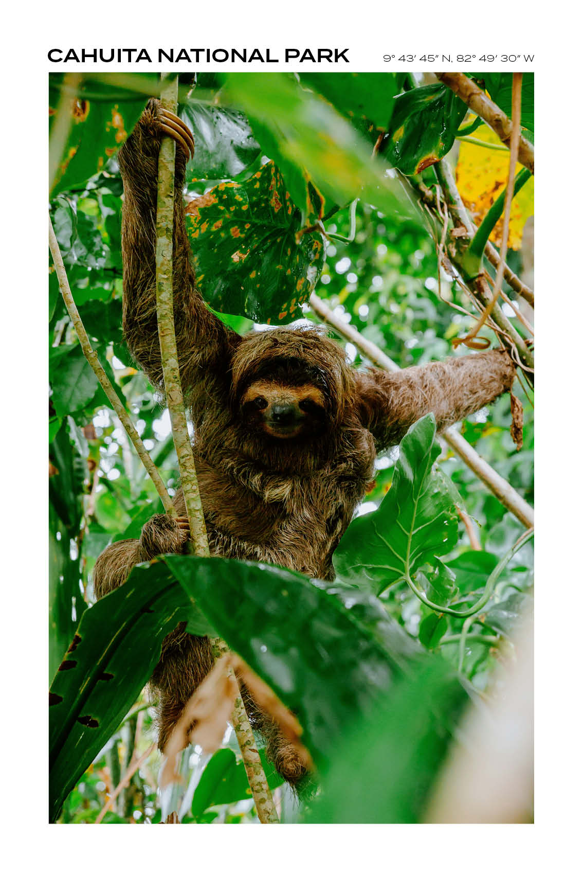 Costa Rica - Cahuita National Park II - Full