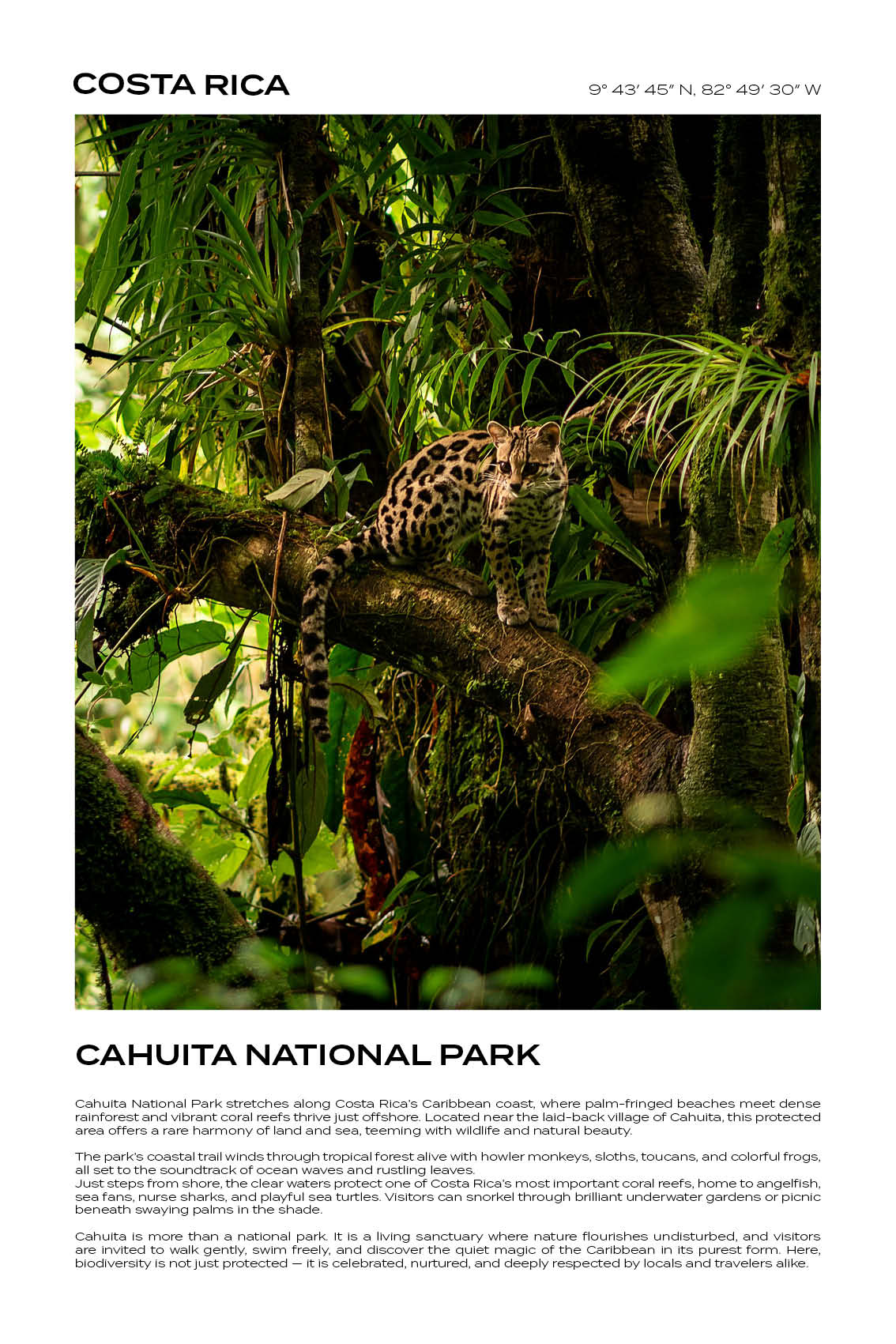 Costa Rica - Cahuita National Park III