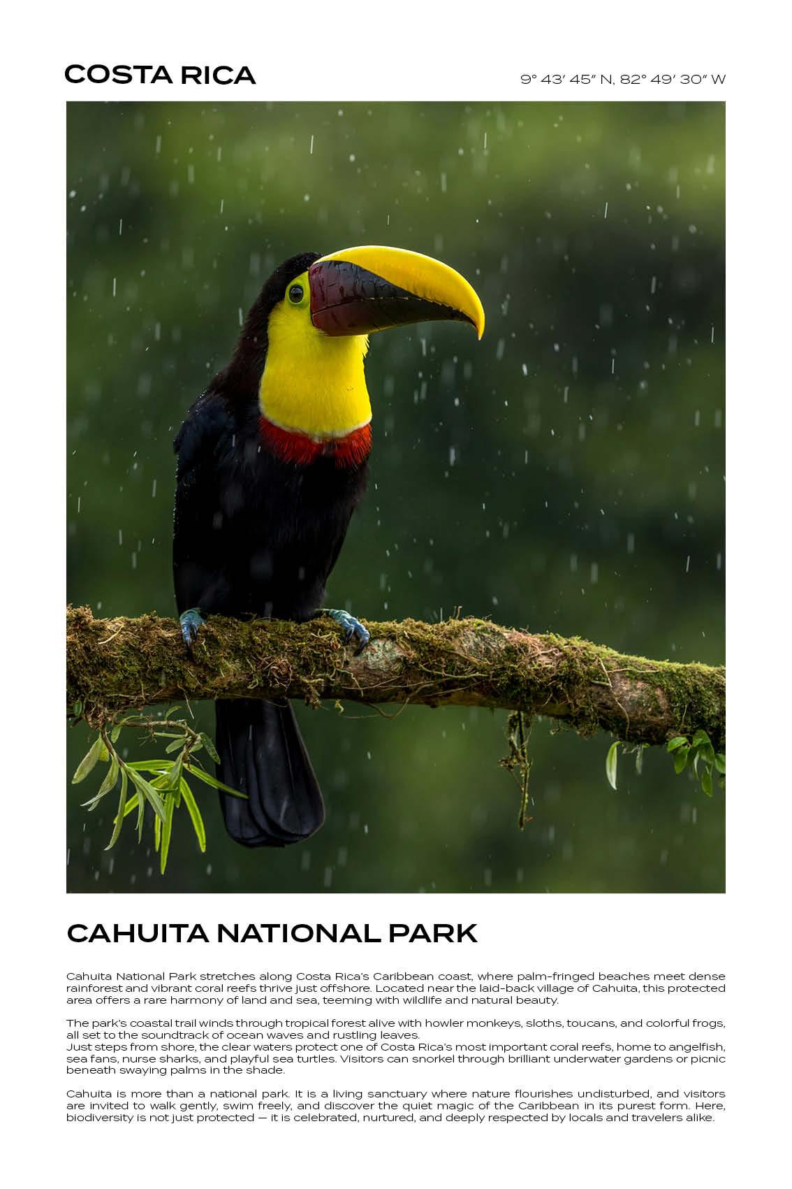 Costa Rica - Cahuita National Park IV