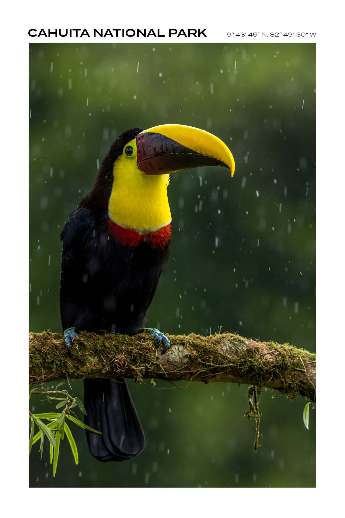 Costa Rica - Cahuita National Park IV - Full