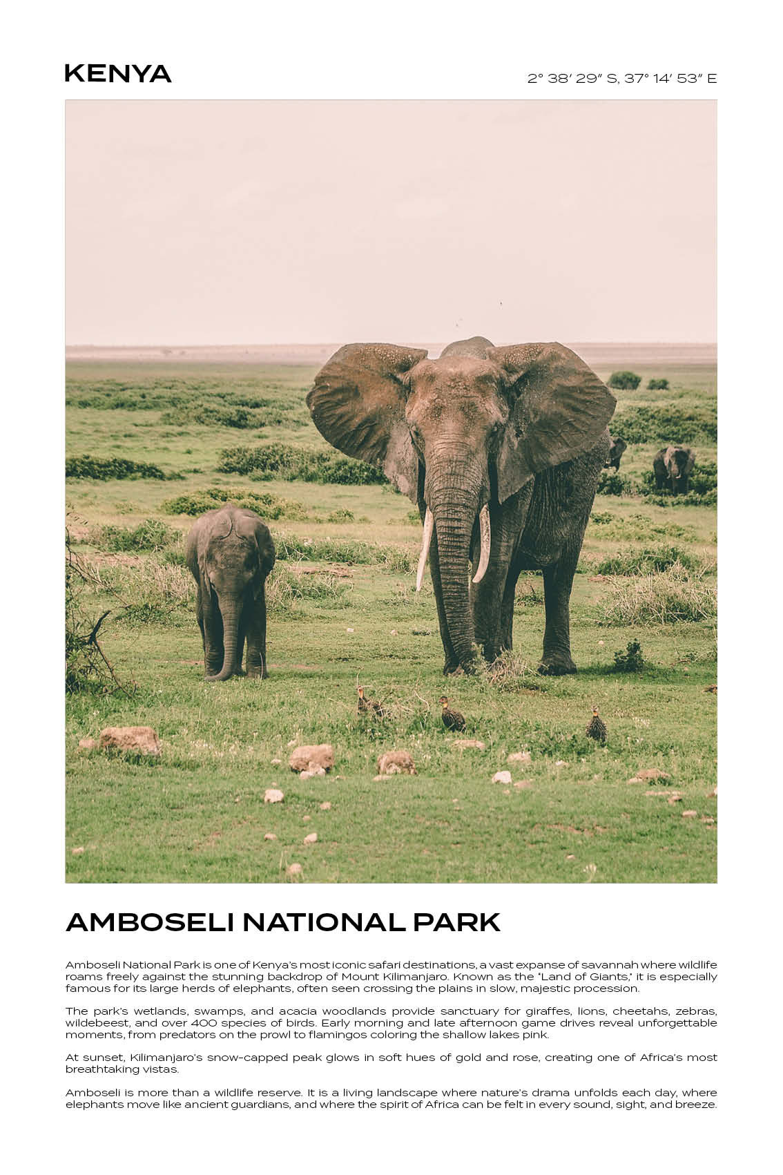 Kenya - Amboseli National Park I