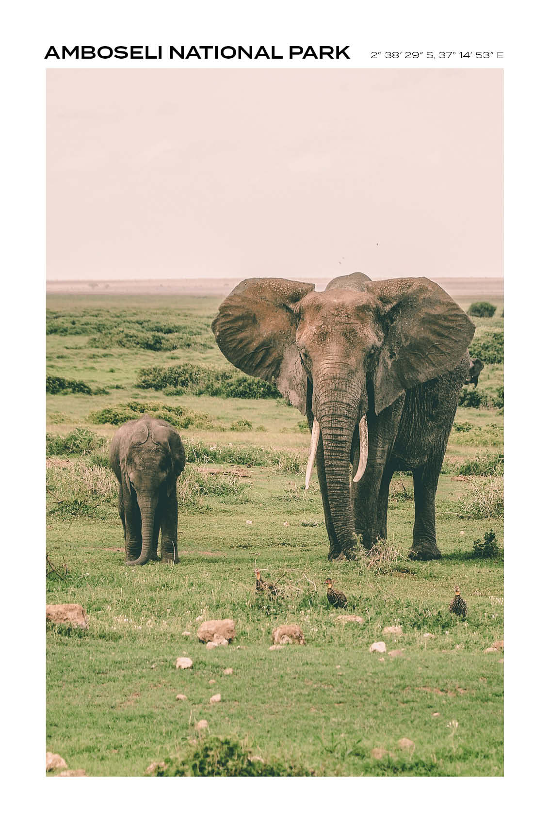 Kenya - Amboseli National Park I - Full