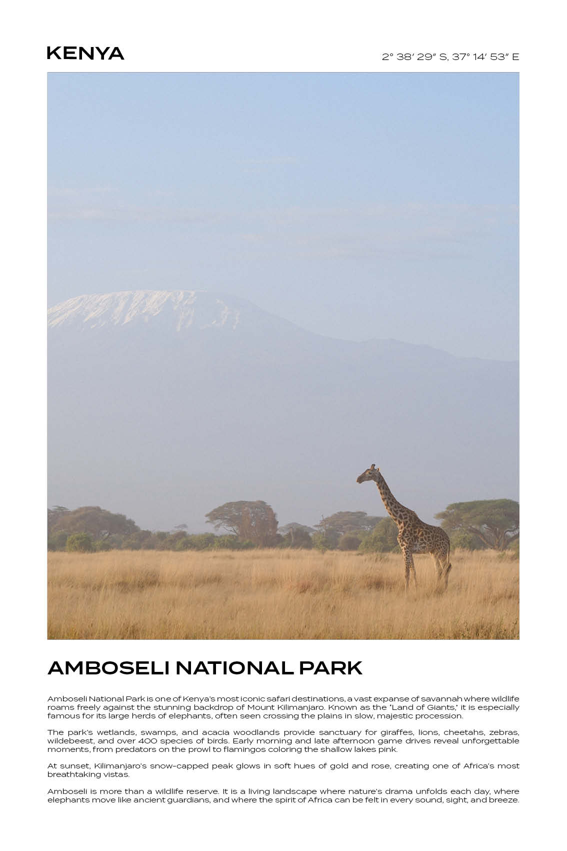 Kenya - Amboseli National Park II